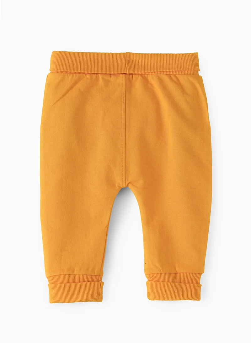 JAM Spring & Summer Coolness: Boys' Comfy Knit Cotton Joggers Breathable & Stylish