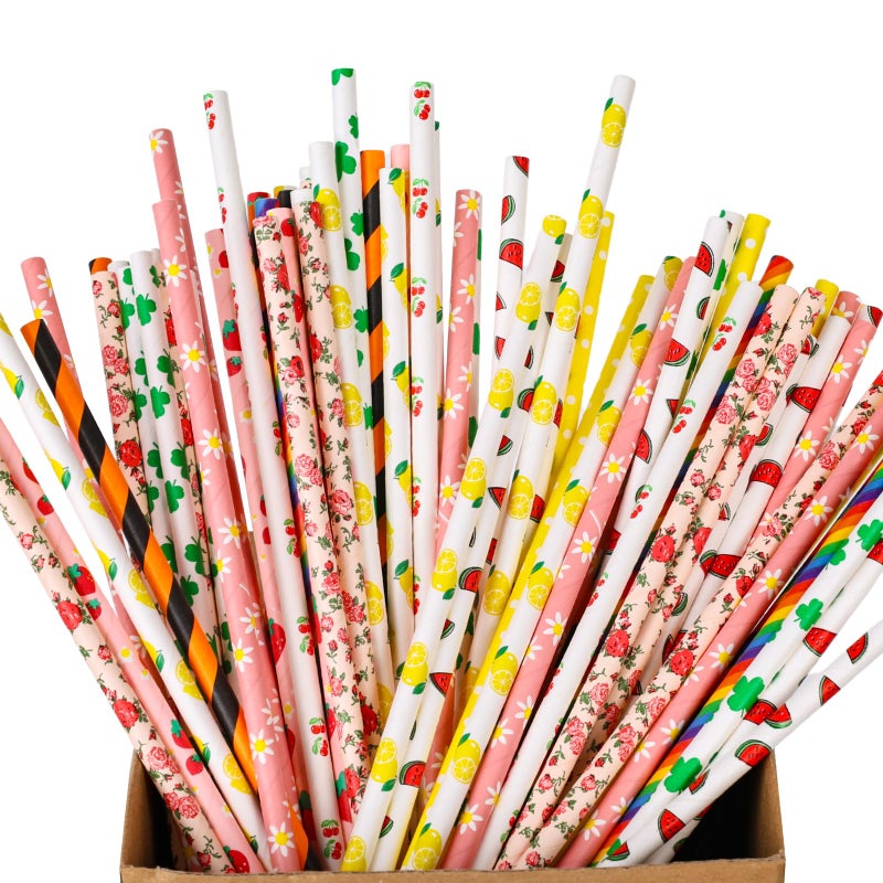 HAKACC Disposable Paper Straws for Drinking 10 Different Pattern Party Straws for Birthday Wedding and Holiday DIY Decorations