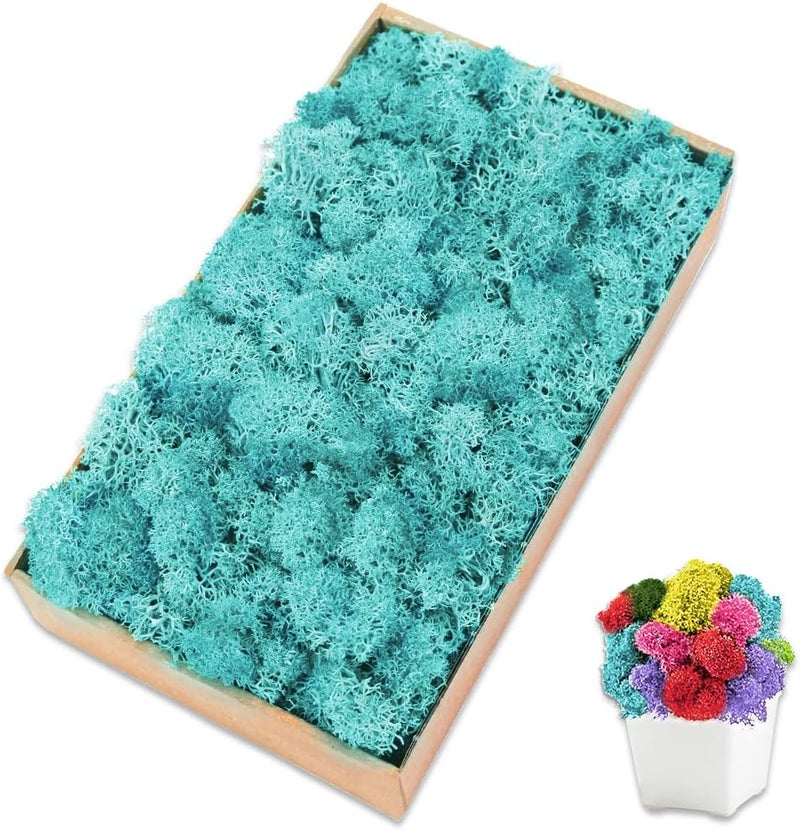 TCYPUHL Preserved Moss for Crafts Blue Reindeer Moss for Potted Plants, Craft Decorative Moss Decor for Wall Art, Dried Moss(7oz, Blue) - Image 1