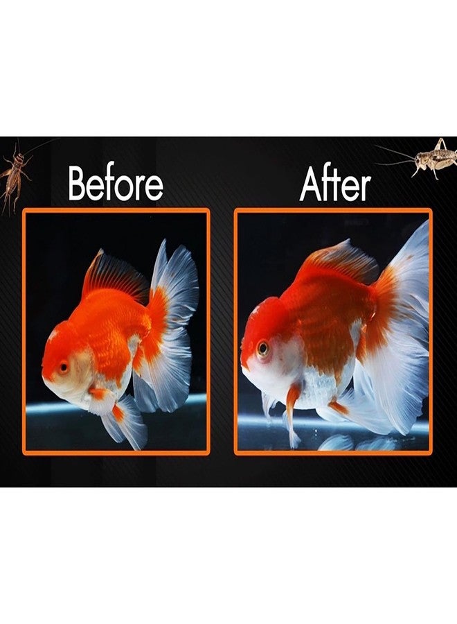 A.D.P. Deep Growth Fast & Jelly Enhancer 100 g. Goldfish Food Mini Sinking Pellet 1.5 mm, High Protein 45% Build Big Body & Color Enhancing Aquarium Baby Newborn Fry Tropical Fish Food - Image 4