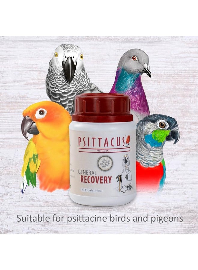 Psittacus General Recovery 100 g | Hand Feeding Formula for Sick and Injured Baby and Adult Birds, Parrots, Pigeons | Premium Food for Birds, 100% no-GMO - Image 5