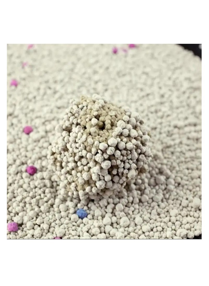 Generic Bentonite Cat Litter 5L – Apple Scented  - Image 3
