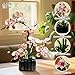 Mov stone Champagne Orchid Flower Building Set Icon Flowers Building Block Compatible with Lego Stunning Botanical Display Gift for 814 Kids and Adults 866 Pcs - Image 4