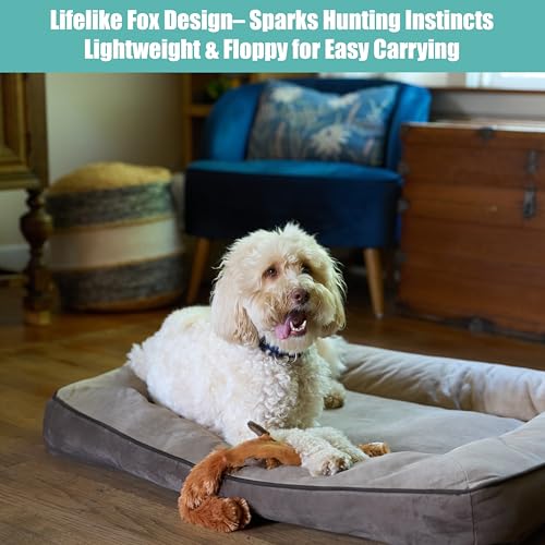 SPOT Skinneeez Fox 23-Inch Stuffing-Free Plush Dog Toy – Realistic Design with 2 Squeakers – Durable, Soft Polyester for Medium & Large Dogs – Tug, Fetch & Shake Play – for Moderate Chewers - Image 4