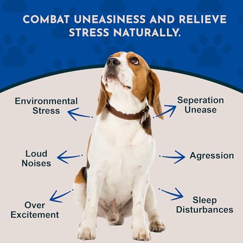 Animal Essentials Tranquility Blend - Valerian Root for Dogs & Cats, Organic Calming Drops for Dogs & Cats, Natural Pet Care Supplement to Relax & Sleep, Herbal Calm Support - 1 Fl Oz - Image 2