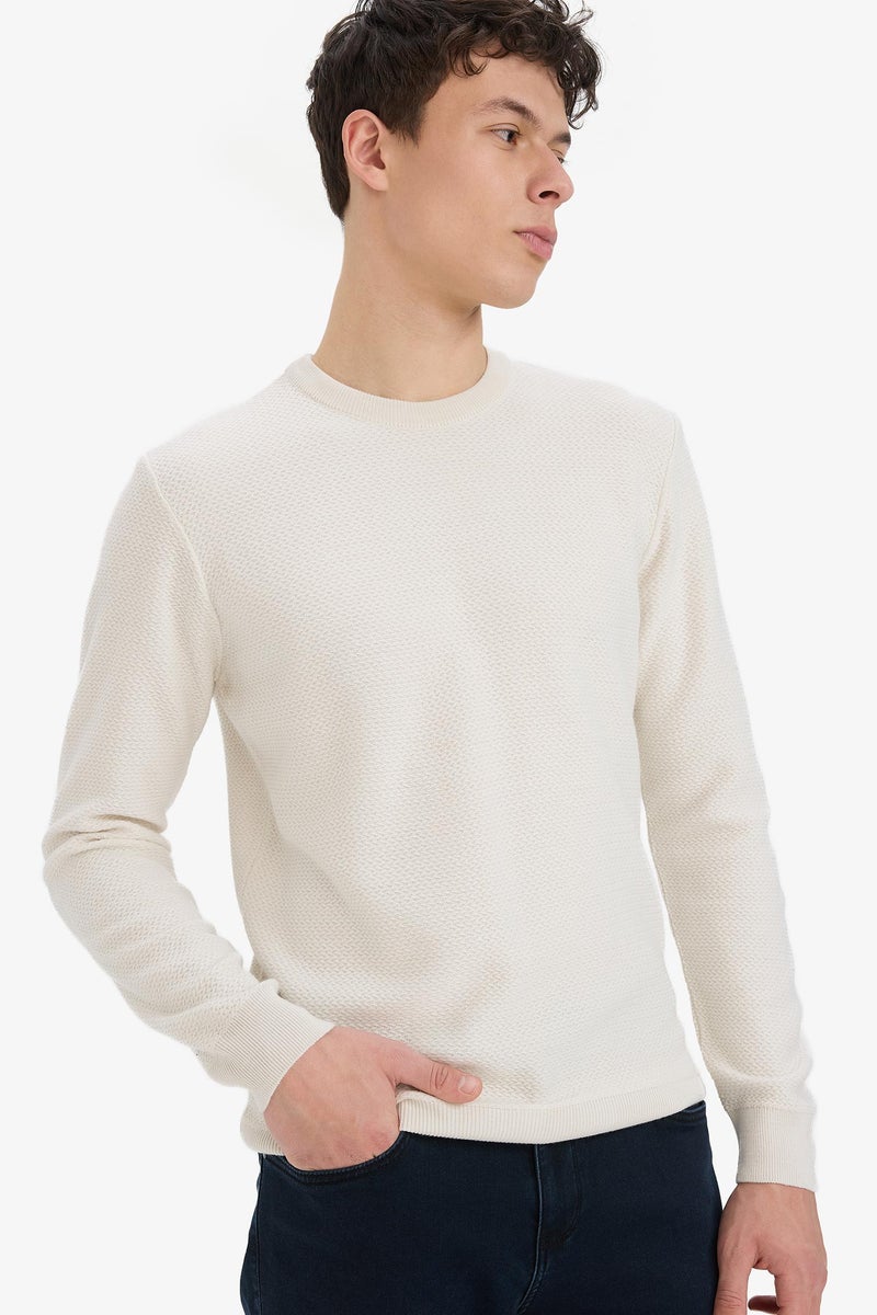 DeFacto Beige Man Standard Fit Crew Neck Knitwear Pullover Casual - Image 1