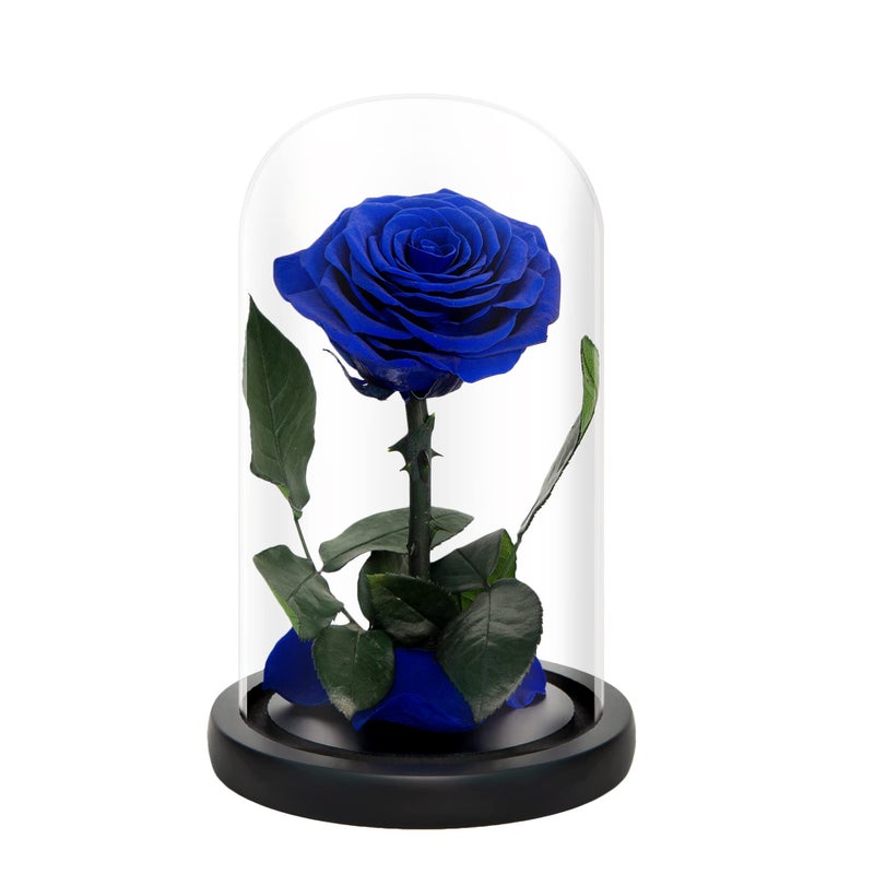 NATROSES Handmade Preserved Roses in Glass Dome Blue Roses Preserved Flowers Gifts for Women Mothers Day Flowers
