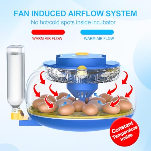 NyPots 18 Egg Incubators for Hatching Eggs with Temperature Control, Egg Incubator with Automatic Egg Turning and Humidity Display, Built-in Egg Candler Incubator for Chicken Eggs, Duck, Goose & Quail - Image 4