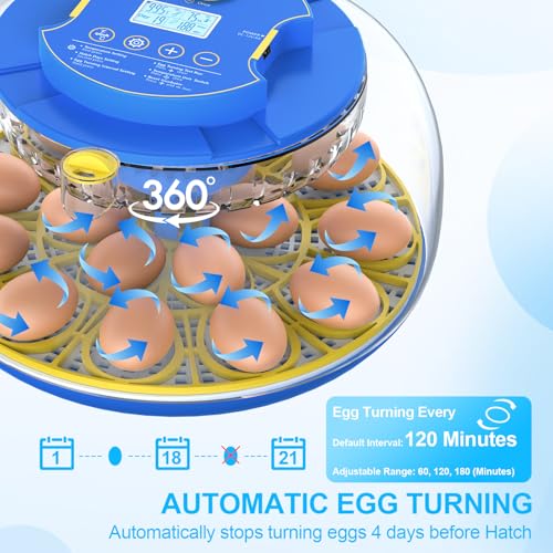 NyPots 18 Egg Incubators for Hatching Eggs with Temperature Control, Egg Incubator with Automatic Egg Turning and Humidity Display, Built-in Egg Candler Incubator for Chicken Eggs, Duck, Goose & Quail - Image 2