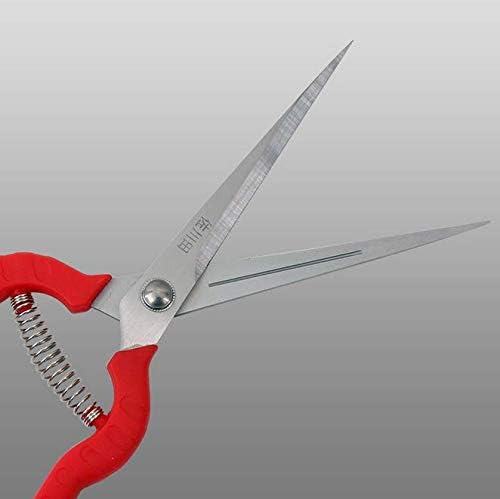 Zsling Extra Long Edge Stainless Steel Pruning Shears Fruit Trees Bonsai Sharp Garden Scissors Tool - Image 5