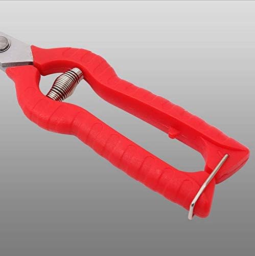 Zsling Extra Long Edge Stainless Steel Pruning Shears Fruit Trees Bonsai Sharp Garden Scissors Tool - Image 4
