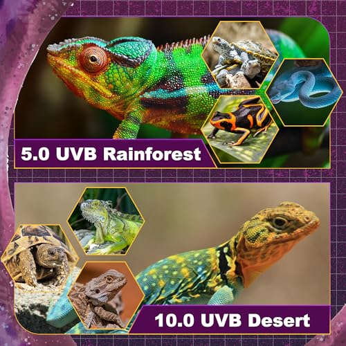 Reptispa T5 HO UVB Lighting Combo Kit, Reptile Light Fixture with Fluorescent Light Bulbs, Tropical Light for Reptiles and Amphibians, Basking Light for Bearded Dragon, High Output Natural Light (8W 5.0 UVB) - Image 3