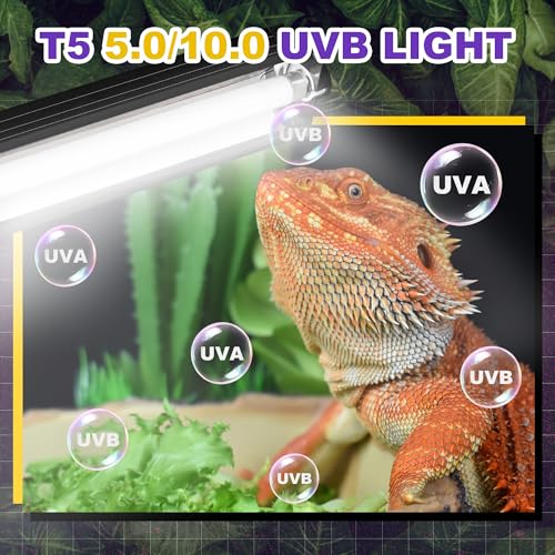 Reptispa T5 HO UVB Lighting Combo Kit, Reptile Light Fixture with Fluorescent Light Bulbs, Tropical Light for Reptiles and Amphibians, Basking Light for Bearded Dragon, High Output Natural Light (8W 5.0 UVB) - Image 2