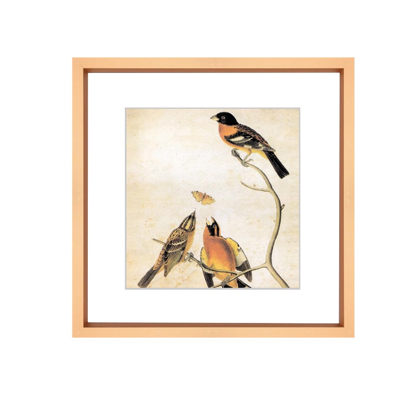 BKABOT 10x10 Picture Frame  Gold Metal Square Photo Frames with HD Glass  Fits 6x6 with Mat or 10 x 10 without Mat  Display for Wall and Table  1 Pack - Image 1