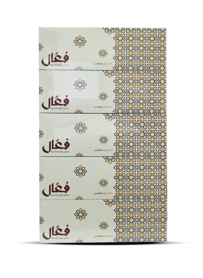 Generic Soft Facial Tissue 200 sheets 2 ply Pack of 5  - Image 2