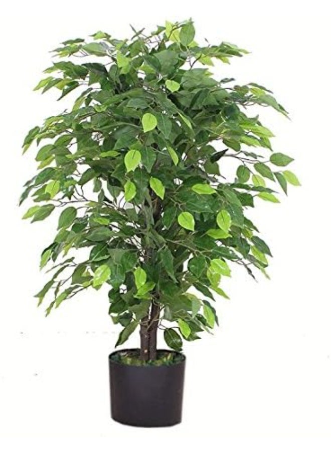 Generic 90cm Artificial Ficus Tree/Plant-Large Bushy Shape Black Plastic Pot, Green Bushy Ficus  - Image 1