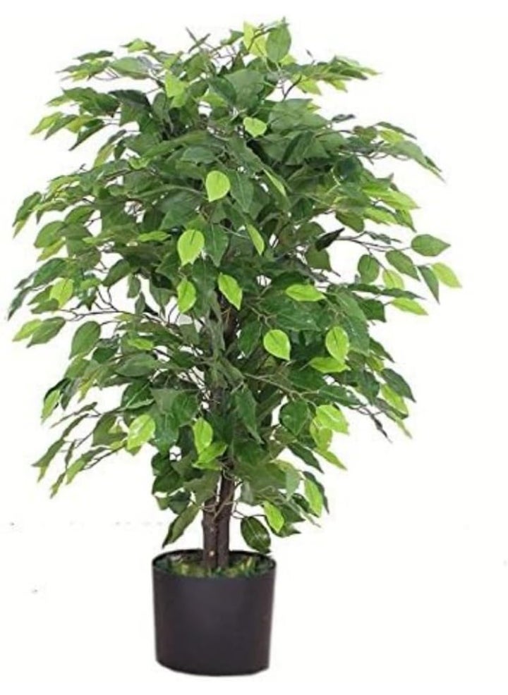 Generic 90cm Artificial Ficus Tree/Plant-Large Bushy Shape Black Plastic Pot, Green Bushy Ficus  - Image 2
