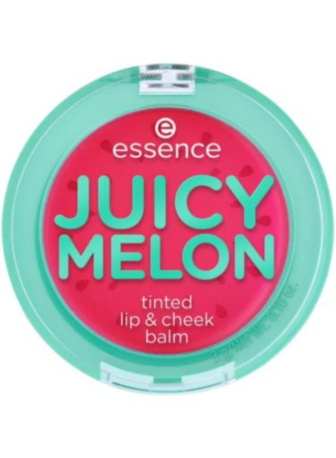 Essence Juicy Melon Tint For Lips And Cheeks Sky Blue