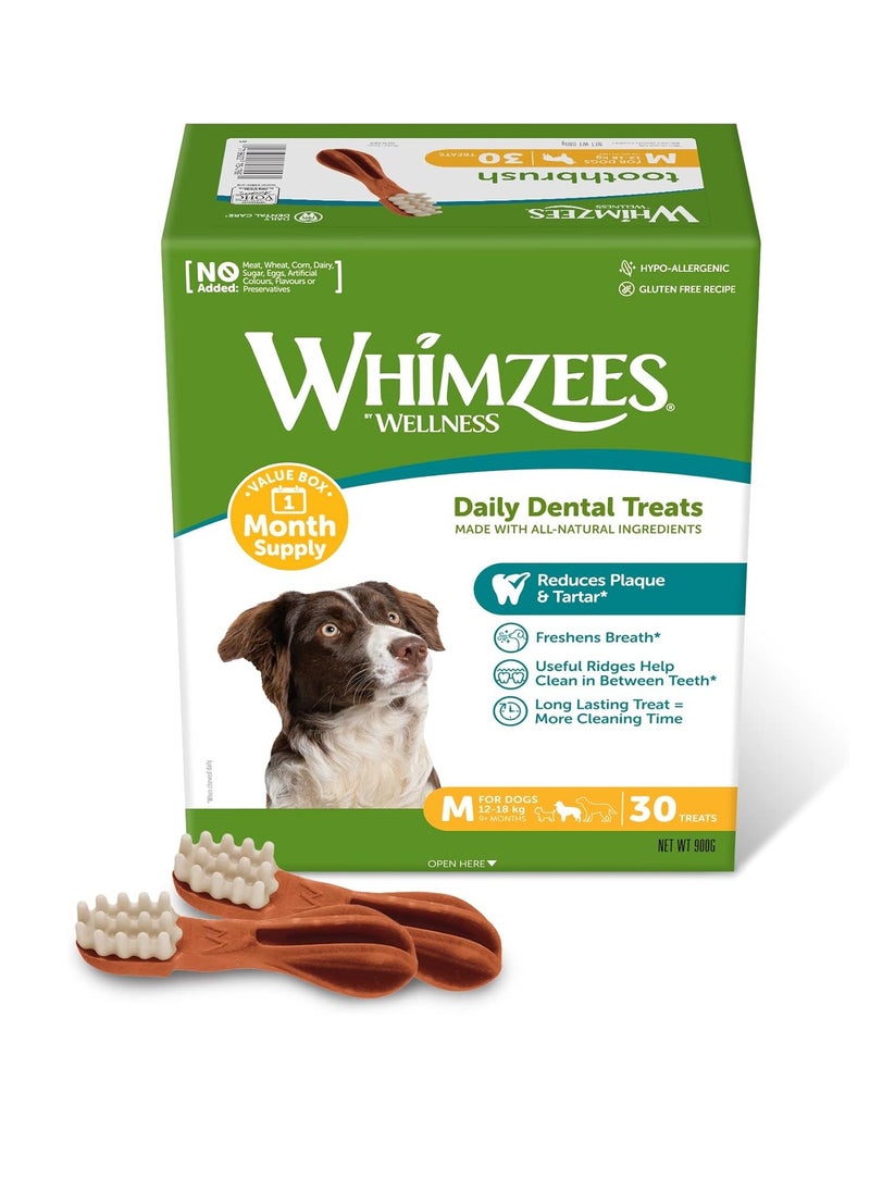 WHIMZEES By Wellness Toothbrush Month Box Natural and Grain Free Dog Chews Dog Dental Sticks for Medium Breeds 30 Pieces One Month Supply Size M  - Image 1