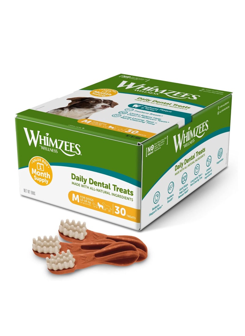 WHIMZEES By Wellness Toothbrush Month Box Natural and Grain Free Dog Chews Dog Dental Sticks for Medium Breeds 30 Pieces One Month Supply Size M  - Image 2