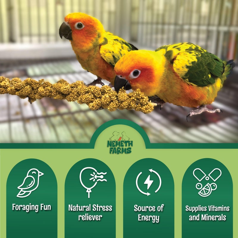 Nemeth Farms Premium Non-GMO Spray Millet Treat | Hand-Harvested Bird Snack | 100% Edible Tops | Sun-Dried Supplement for Parakeets, Cockatiels, Finches, Lovebirds, Canaries - Image 5