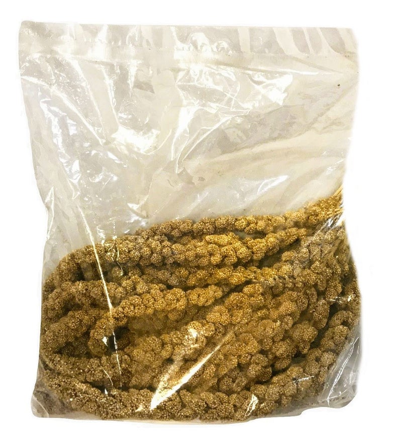 Nemeth Farms Premium Non-GMO Spray Millet Treat | Hand-Harvested Bird Snack | 100% Edible Tops | Sun-Dried Supplement for Parakeets, Cockatiels, Finches, Lovebirds, Canaries - Image 2