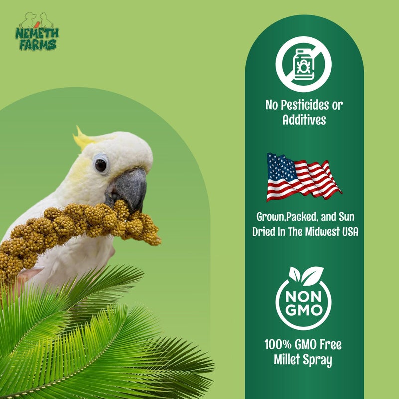 Nemeth Farms Premium Non-GMO Spray Millet Treat | Hand-Harvested Bird Snack | 100% Edible Tops | Sun-Dried Supplement for Parakeets, Cockatiels, Finches, Lovebirds, Canaries - Image 4