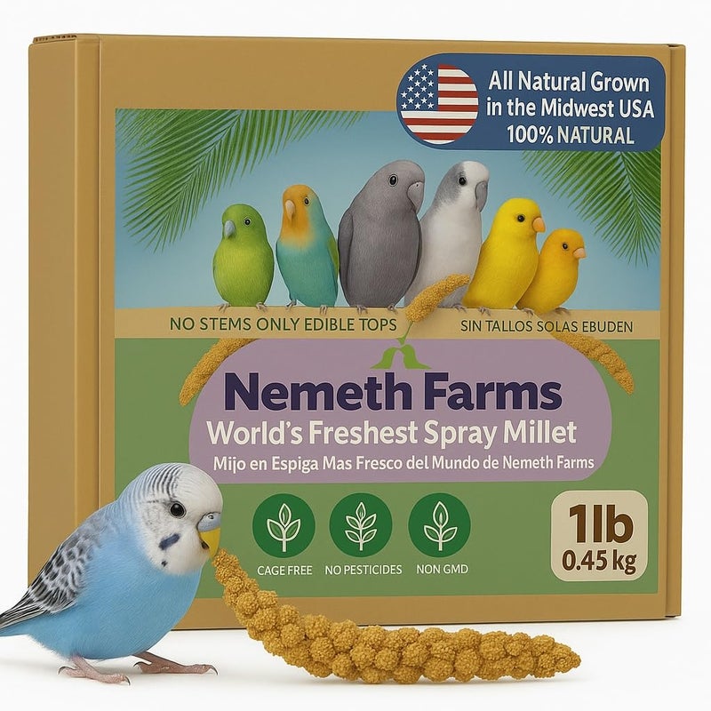 Nemeth Farms Premium Non-GMO Spray Millet Treat | Hand-Harvested Bird Snack | 100% Edible Tops | Sun-Dried Supplement for Parakeets, Cockatiels, Finches, Lovebirds, Canaries - Image 1