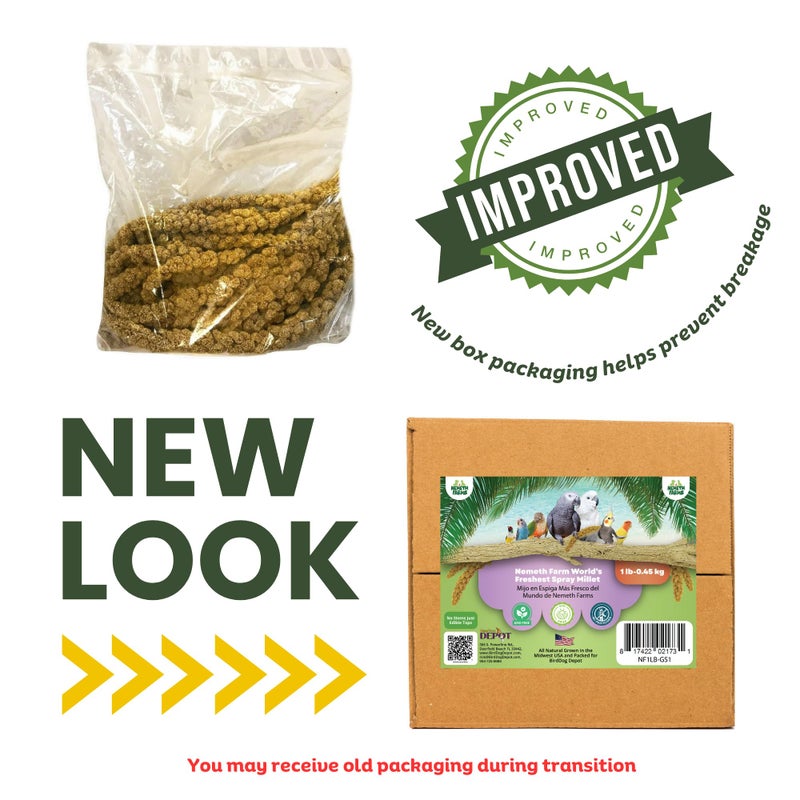 Nemeth Farms Premium Non-GMO Spray Millet Treat | Hand-Harvested Bird Snack | 100% Edible Tops | Sun-Dried Supplement for Parakeets, Cockatiels, Finches, Lovebirds, Canaries - Image 3