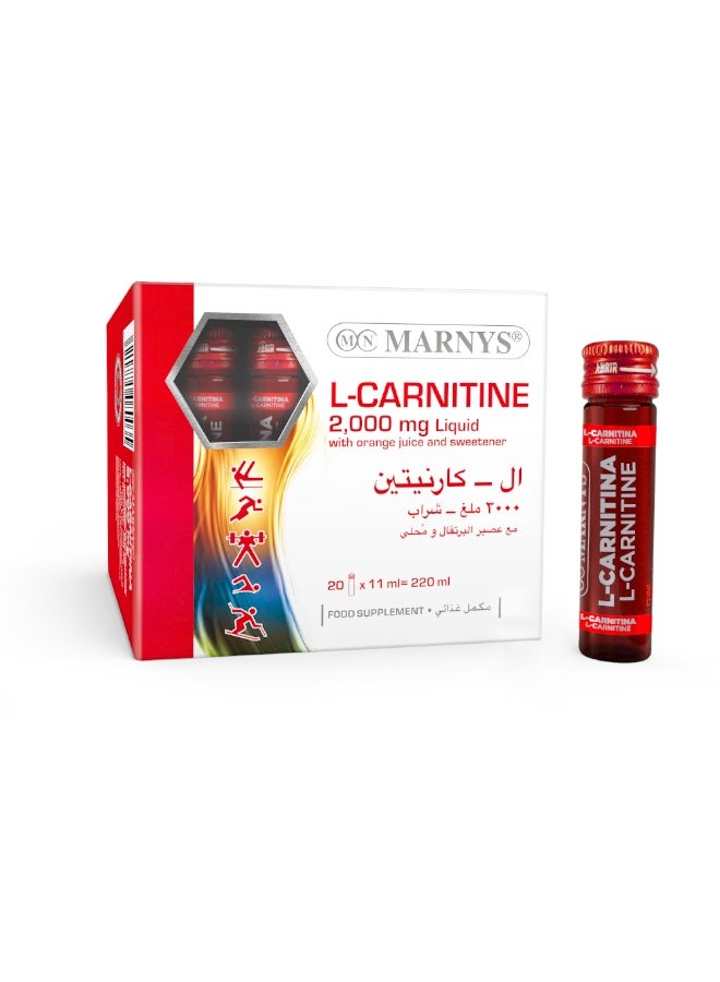 مارنيز باقة الطاقة و النشاط - رويال بروفيت 5000 + ال - كارنيتين 2000 - Image 3