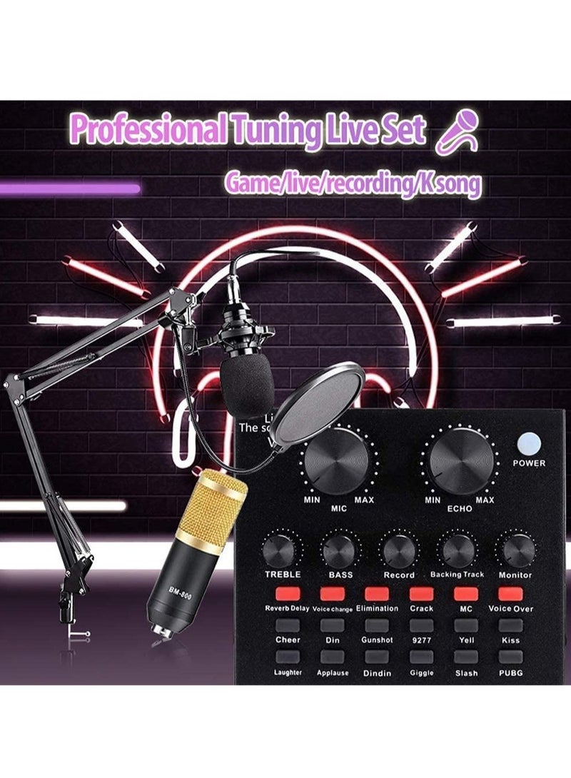 ELTRAZONE ميكروفون مكثف BM800 الاحترافي مع مجموعة بطاقة الصوت V8 للبث المباشر - Image 2