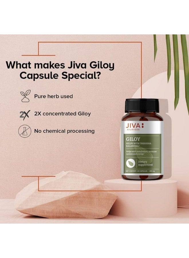 Jiva Giloy - 60 * 1 Capsule for Digestion | 100% Pure & Natural | Ageing and Immunity Boost | Herbal Supplements | Rich In Antioxidants - Image 5