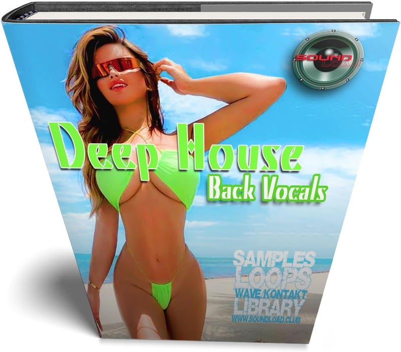 Flat working surface Blues & Soul Back vocal/The very Best of - Large Multi-Layer 24bit WAVEs Sound Library Flexible use switching - Image 4