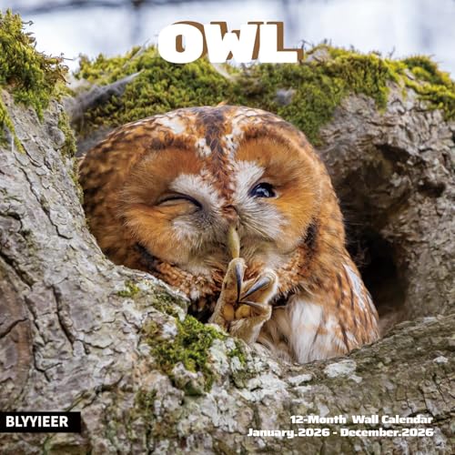 BLYYIEER 2026 Wall Calendar,Owl Calendar 2026,OWL Monthly Wall Calendar, 12" x 24" Open,Family Planner Calendar, Home & Office Organizer,Hangable - Image 1