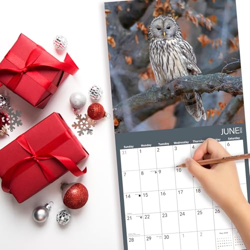 BLYYIEER 2026 Wall Calendar,Owl Calendar 2026,OWL Monthly Wall Calendar, 12" x 24" Open,Family Planner Calendar, Home & Office Organizer,Hangable - Image 5