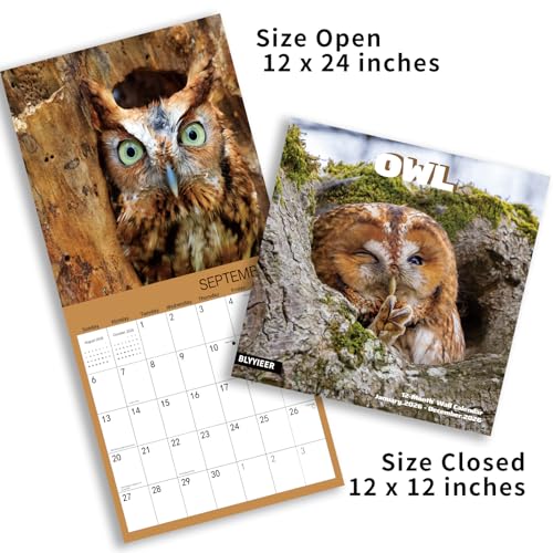 BLYYIEER 2026 Wall Calendar,Owl Calendar 2026,OWL Monthly Wall Calendar, 12" x 24" Open,Family Planner Calendar, Home & Office Organizer,Hangable - Image 4