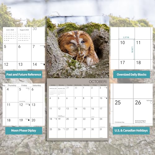 BLYYIEER 2026 Wall Calendar,Owl Calendar 2026,OWL Monthly Wall Calendar, 12" x 24" Open,Family Planner Calendar, Home & Office Organizer,Hangable - Image 3