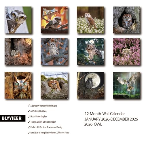 BLYYIEER 2026 Wall Calendar,Owl Calendar 2026,OWL Monthly Wall Calendar, 12" x 24" Open,Family Planner Calendar, Home & Office Organizer,Hangable - Image 2