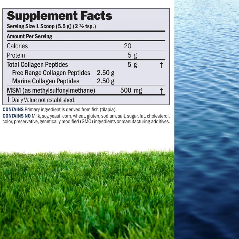 ANDREW LESSMAN Marine Free Range Collagen Peptides Powder and MSM 60 Servings  Supports Radiant Smooth Soft Skin Comfortable Joints Super Soluble No Fishy Flavor No Additives NonGMO - Image 2