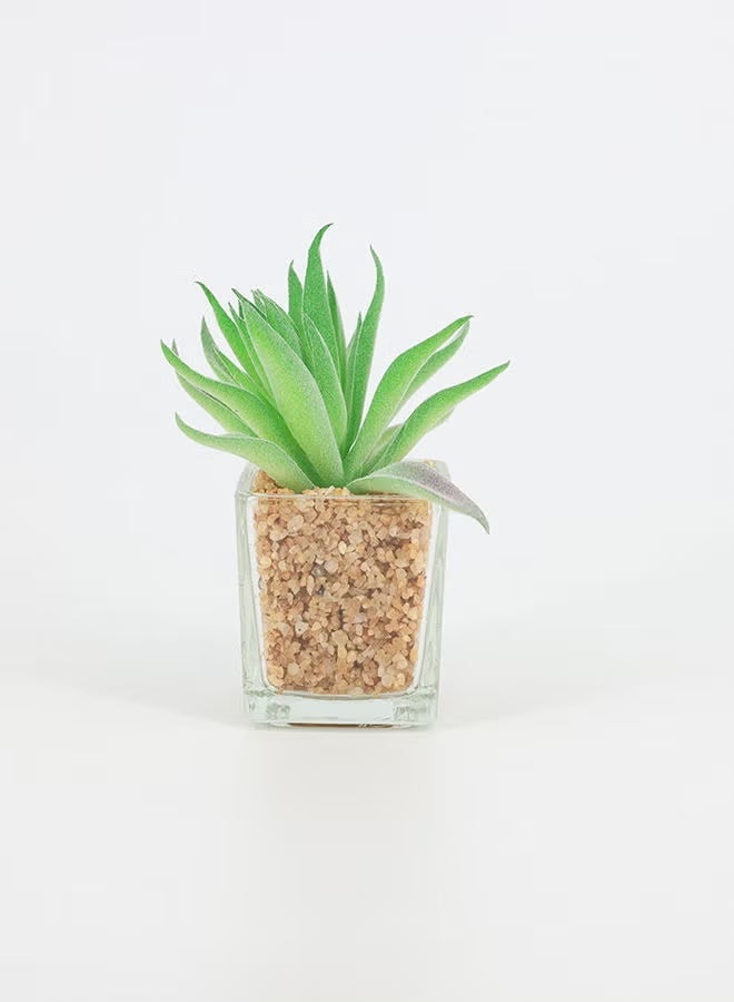 Rahalife Artificial Succulent Bonsai – Realistic Decorative Plant Pack of 2 - Image 1