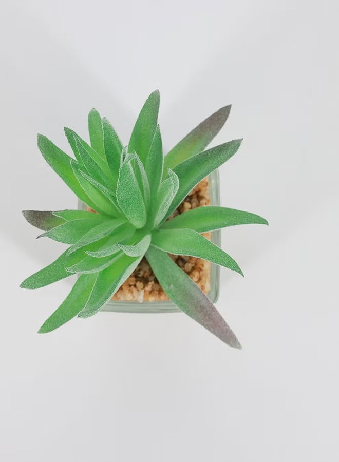 Rahalife Artificial Succulent Bonsai – Realistic Decorative Plant Pack of 2 - Image 2