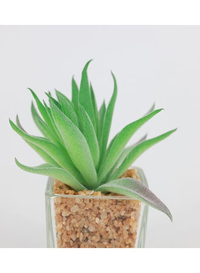Rahalife Artificial Succulent Bonsai – Realistic Decorative Plant Pack of 2 - Image 3
