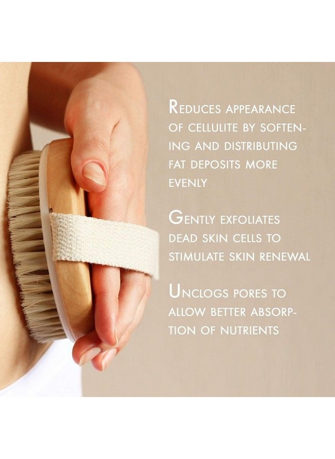 Valkyrie VALKYRIE Dry Skin Body Brush Improves Skin's Health and Beauty With Natural Bristle | Remove Dead Skin and Toxins, Cellulite Treatment, Exfoliates, Stimulates Blood Circulation  - Image 2