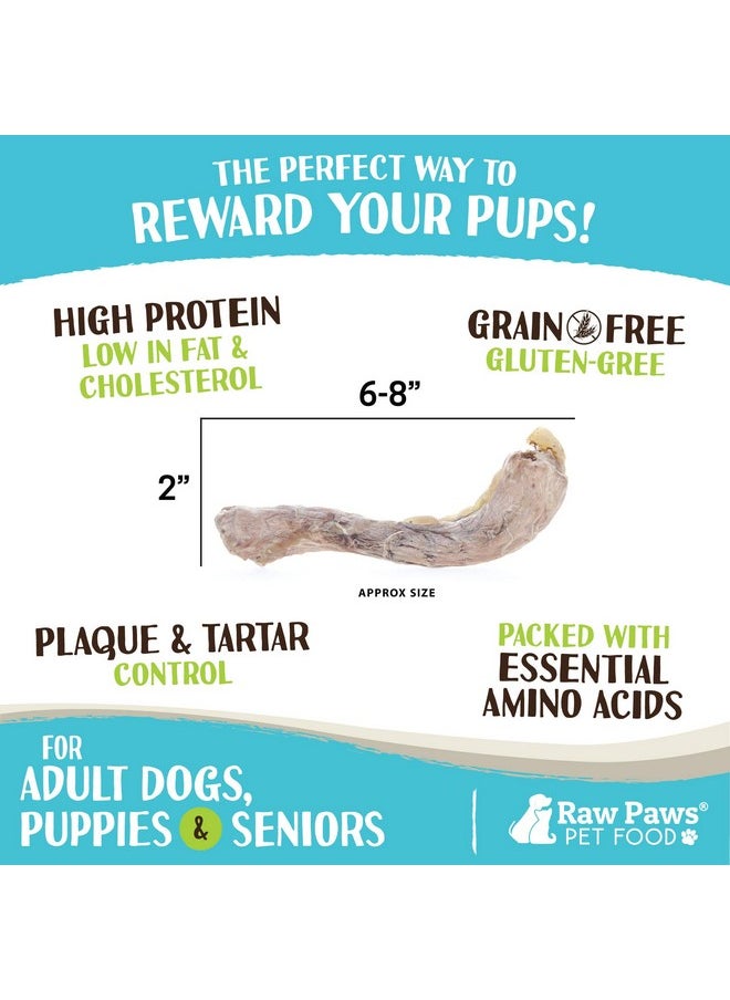 Raw Paws - Freeze Dried Duck Necks For Dogs, 5Oz  Made In Usa  All Natural Duck Dog Treats  Single Ingredient Duck Neck Dog Treat  Raw Freeze Dried Dog Treats - Image 1