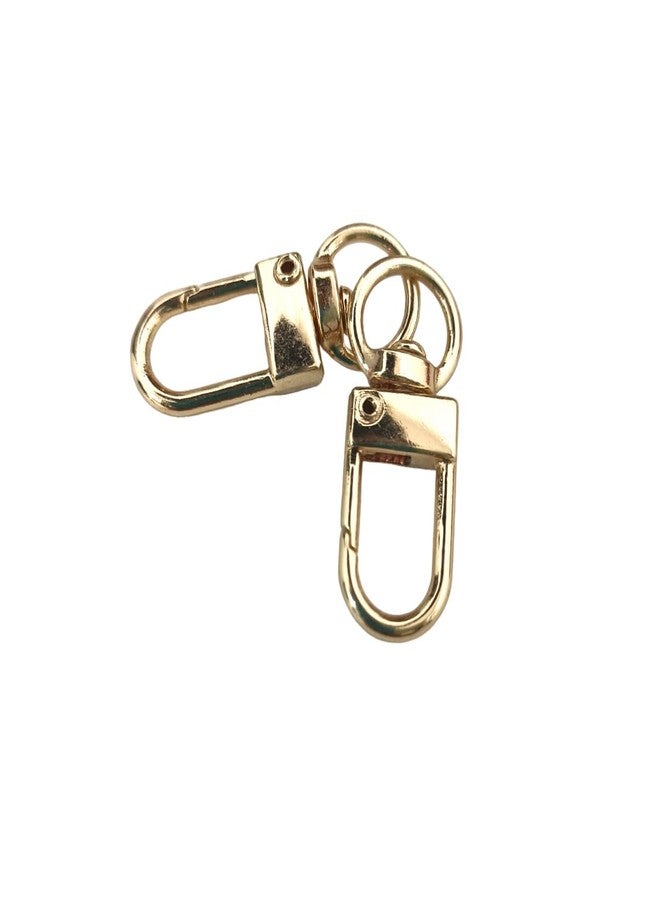 RED APPEL Metal Clasps Lobster for Handbag, Spring Ring, Purse Dog Hook, Key Chain Swivel Trigger Snap Hook DIY and Purse Making Accessories (Golden Push Gate Hook) pac of 2 - Image 1