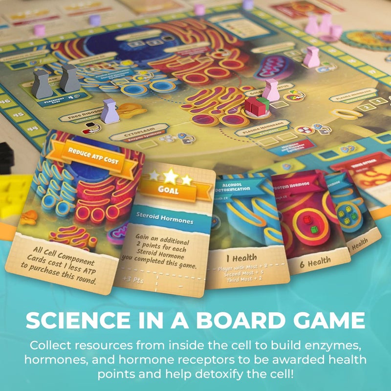 Genius Games Cytosis: A Cell Biology Board Game | A Science Accurate Strategy Board Game About Building Proteins, Carbohydrates, Enzymes, Organelles, & Membranes | Fun Science Games for Adults & Family Game Night - Image 4