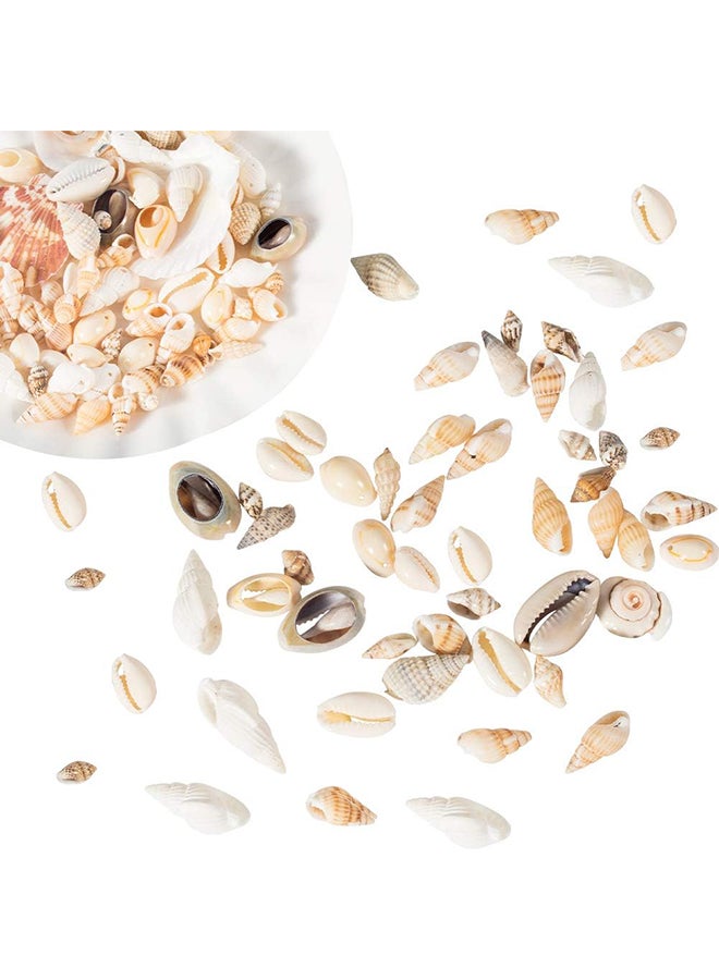 Nbeads 250 جرام من صدف البحر المختلط سحر صغير على شكل صدفة بحرية على شاطئ المحيط حلزونية لموضوع الشاطئ وحفلات الزفاف وديكور المنزل وخزان الأسماك وحشو مزهرية - صدف حوالي 250 جرام