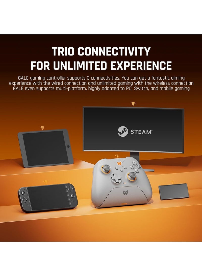 BIGBIG WON Wireless Gaming Gamepad Controllers for Switch,PC,Android,iOS with Hall Effect Trigger Function Somatosensory - Image 5