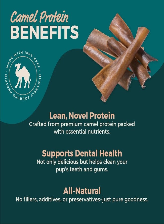 BULLY STICKS DIRECT Premium Camel Skin Protein Dog Chews, All Natural Heavy Chewer Treats, Long Lasting Dental Care Strips, 25 Pack - Image 4