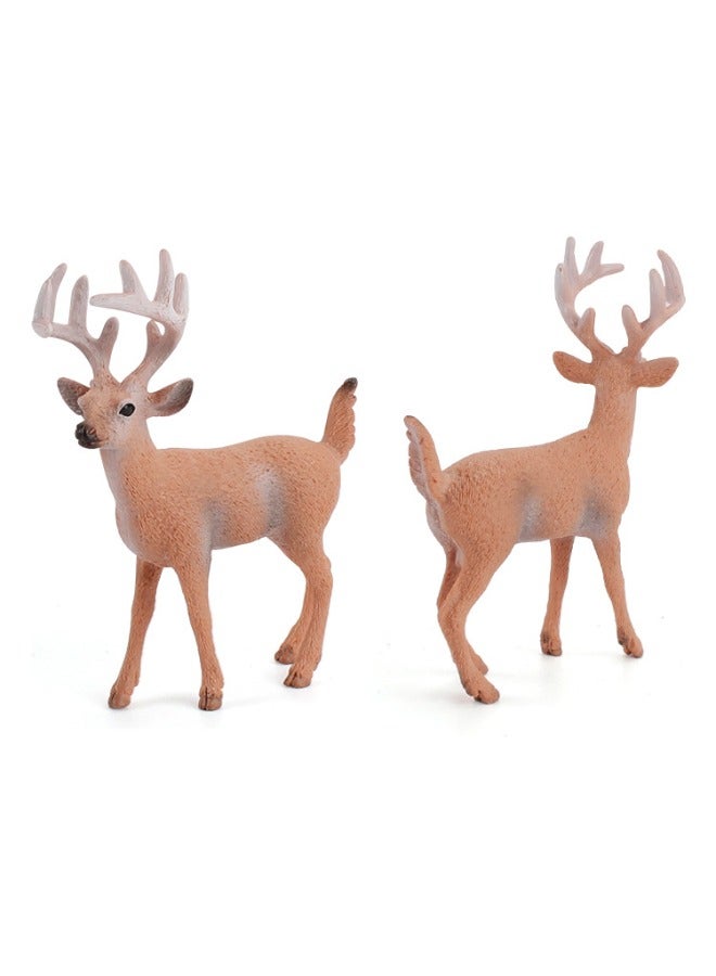 lelewu 6-Pack Premium Forest Animal Solid Static Model Figurine Toy Set, Hand-Painted Realistic Animal Toy, Eco-Friendly PVC Material, Animal Toys for Decoration & Education - Image 3